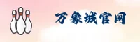 使用指南与常见问题